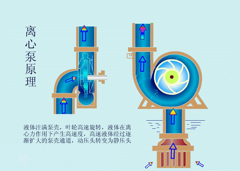 漩涡泵工作原理的动画解析